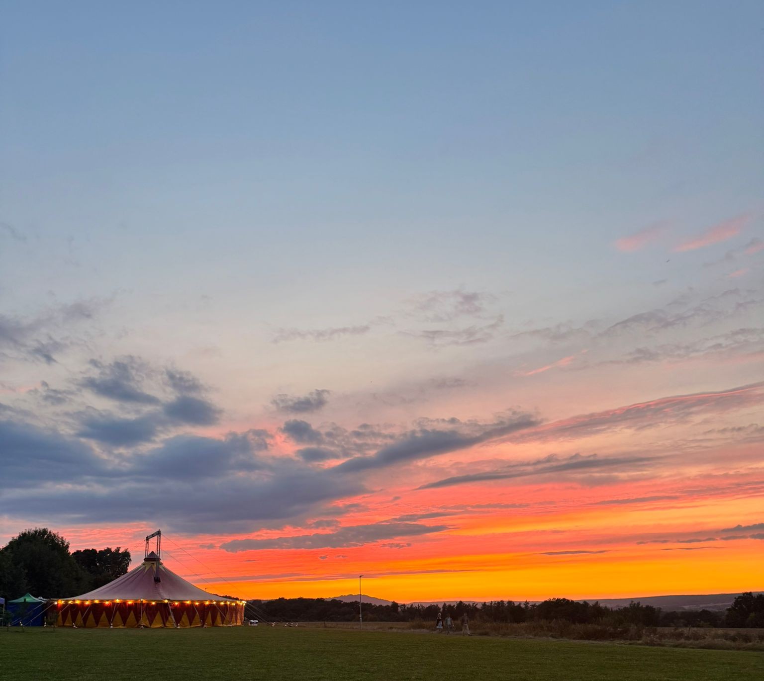 sapito.jpeg (177 KB)